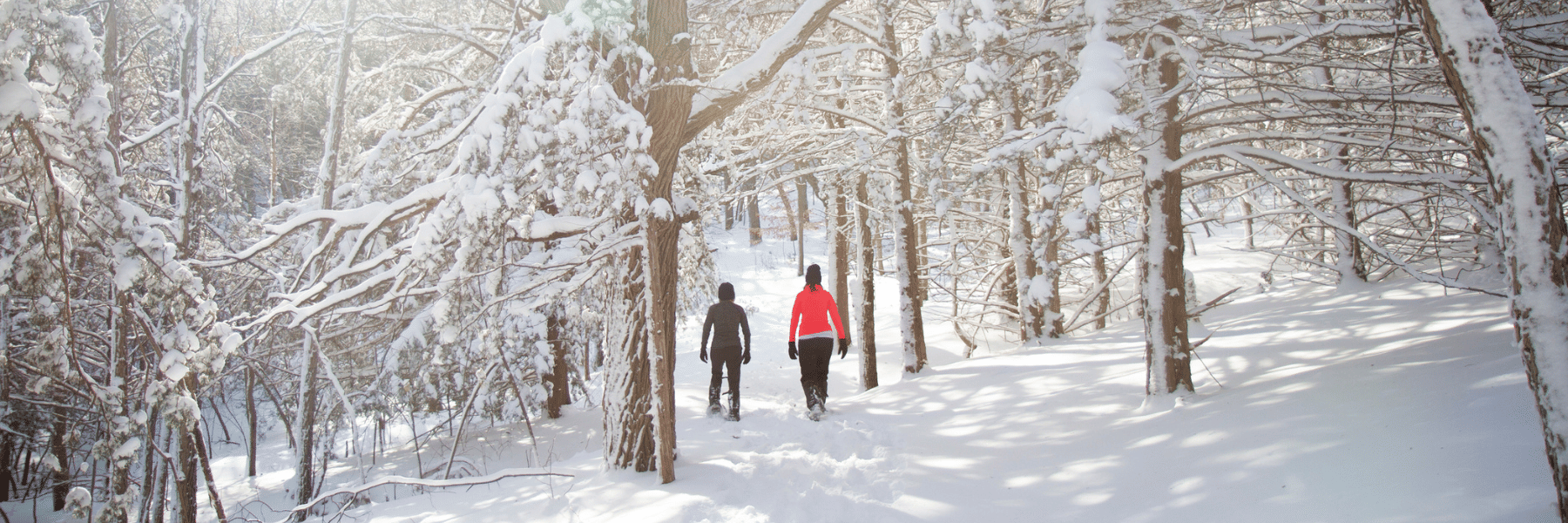 Brookings South Dakota Travel Guide | Arts, Gardens & Attractions